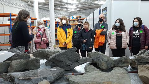 Visita a los laboratorios y litoteca del Museo del Jur�sico de Asturias (MUJA)