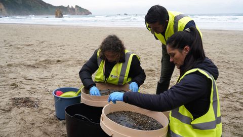 Operias retiran plets de plstico en la playa del Aguilar