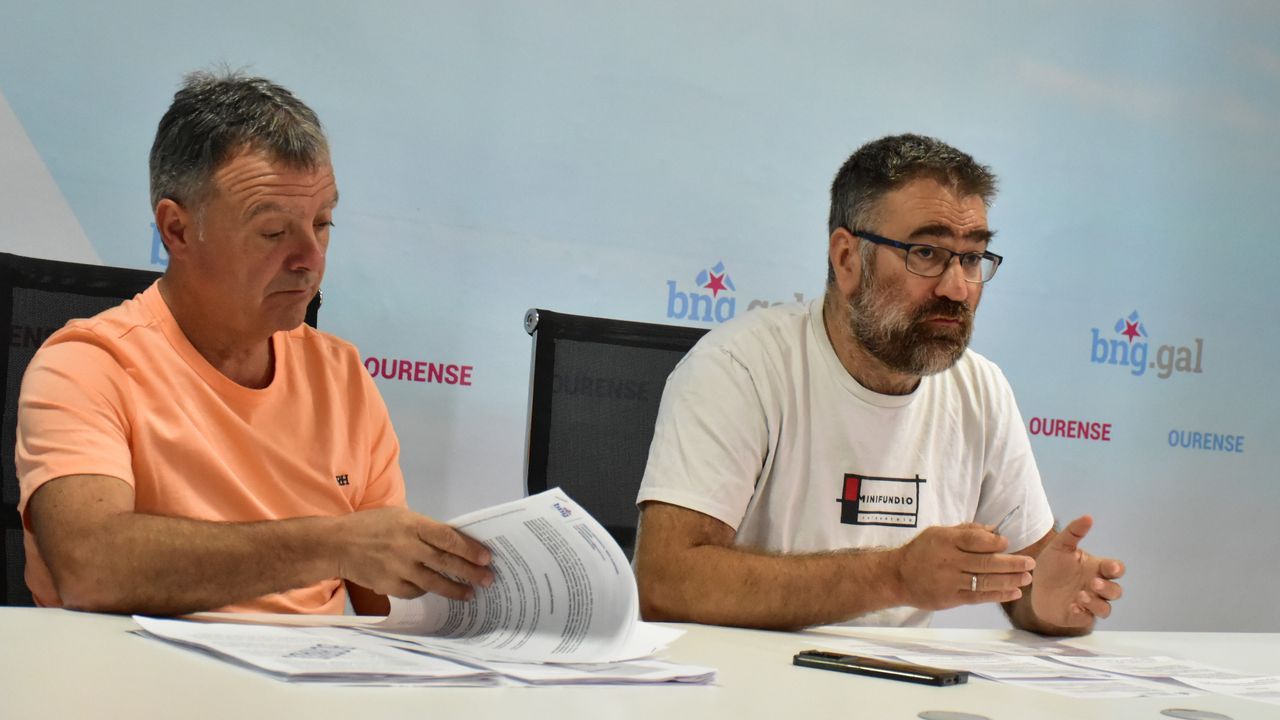 El BNG propone un convenio entre la Diputación de Ourense y los concellos para cumplir la limpieza de franjas forestales