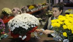 Las plantas son una opci�n econ�mica y lo que m�s se compra en las florister�as estos d�as. 