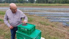 Fraga, con semillas de nabo que ya plant� en esta finca de Santaballa, al fondo, y que usar� en otra parcela de Codesido