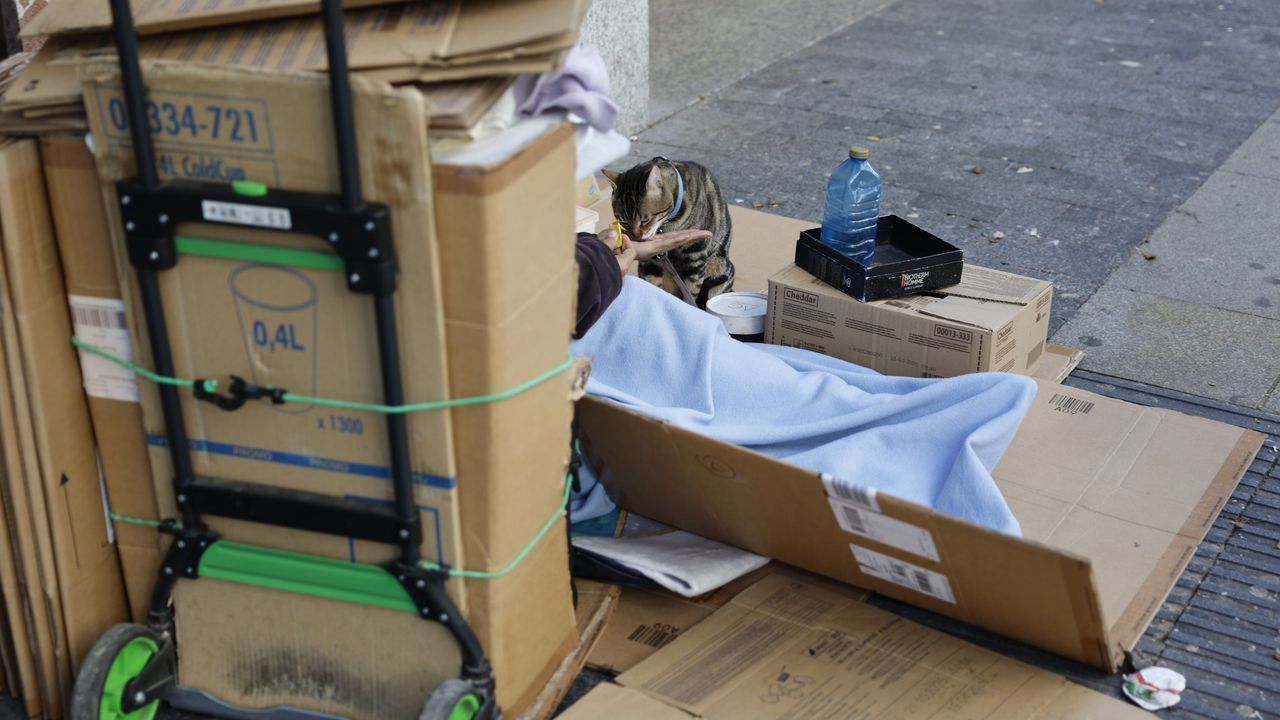 El virus de la inequidad