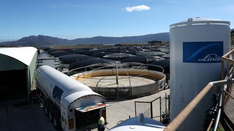 Suministro a la piscifactor�a de Lira