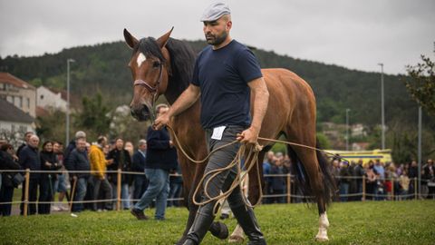 La Feira Cabalar de San Marcos, en imágenes