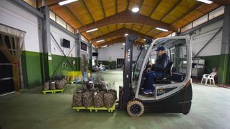 Lonja de Campelo, que concentra las ventas de bivalvos en la r�a de Pontevedra