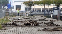 El paseo de las Avenidas languidece