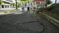 Deterioro en los jardines de M�ndez N��ez