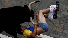 Un toro suelto siembra el p�nico