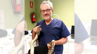 Jorge Díaz, veterinario experto en animales exóticos