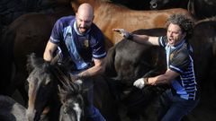 Sabucedo acoge a Rapa das Bestas y vuelve a congregar a miles de personas