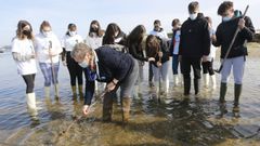 Os alumnos do IES Ramn Cabanillas aprenden a mariscar con Guimatur