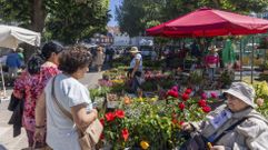 Una bella estampa de uno de los mercados de este mes de junio en Carballo