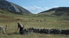 Fotograma del tr�iler de �Vida vaquera�, de Ram�n Llu�s Bande