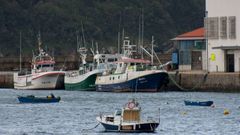 Flota amarrada hoy en el puerto de Cedeira