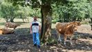 Pablo tiene m�s de 60 cabezas de ganado en la parroquia de Rodeiro.