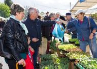 <span lang= gl >As flores foron a orixe desta feira, creada hai 21 anos por Bidueiro</span>. 