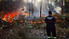 Incendio forestal en Cuntis