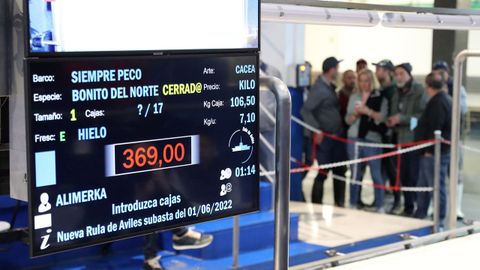 La pantalla marca el nuevo rcord de cotizacin del bonito del norte: 369 euros por kilos para los primeros 106,5 kilos subastados este 1 de junio en Avils