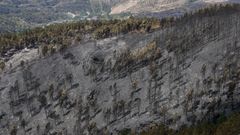 El paso del fuego es palpable en toda la comarca