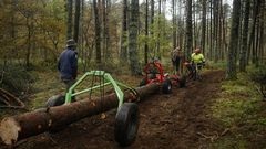 Limpieza de las m�moas del parque arqueologico Monte Grande 2, de Bande, con tracci�n animal