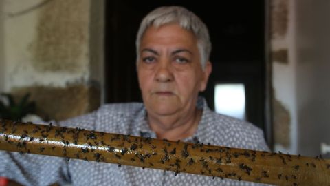 Manoli Castro muestra una tira de moscas en su casa de O Val