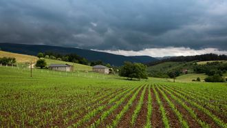 Campo de siembra en el occidente de Asturias
