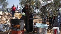La cosecha de aceitunas en la población de Bir Zeit, en el centro de la Cisjordania ocupada, se desarrolla en un ambiente tenso debido a los constantes ataques de grupos de colonos israelíes contra agricultores palestinos, una realidad con la que tienen que lidiar cada año con el inicio de temporada y que el alto el fuego en Gaza no ha cambiado. 