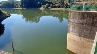 Aspecto verdoso del agua en el embalse de A Baxe, por cianocteria, a d&iacute;a 22 cuando ya se hab&iacute;a bajado del m&aacute;ximo de cianobacteria solo una semana antes