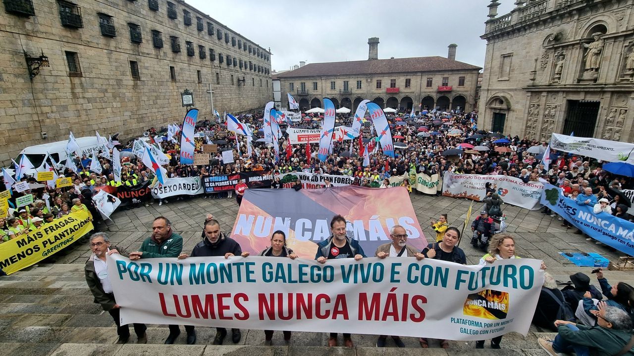 Miles de personas reclaman una nueva gestión del monte para evitar otra ola de incendios
