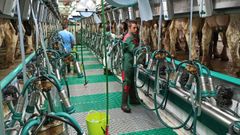 Imagen de archivo de una sala de orde�o en un agranja de Mazaricos