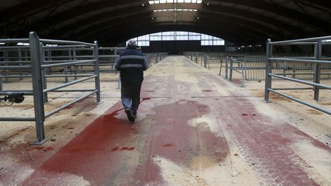 Mientras las restricciones de los mercados sean temporales, los tratantes consideran que el mercado no se verá especialmente afectado. Los problemas pueden venir si estas restricciones se prolongan en el tiempo, para reponer los animales de recría o para hacer salir el que se exporta.  