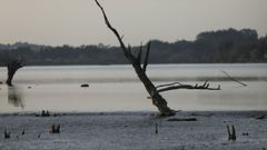 Embalse de Cecebre afectado por la sequ�a