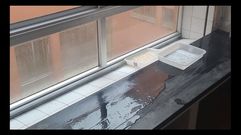 Deficiencias en el CPI de Zas 