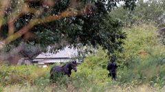 El campamento de Freixeiro, en terrenos que son propiedad de C&aacute;ritas, ayer.
