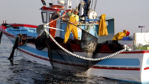 Pesca de sardina