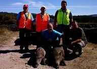 Dos de las piezas fueron abatidas el domingo en la zona de Bexo.