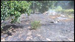 Parte de la zona quemada en el incendio de Monte de Aralde.