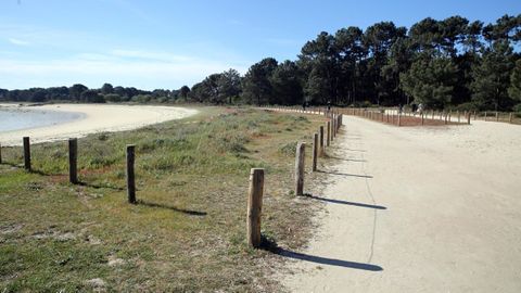 El parque del Carreir�n, en la Illa de Arousa, es uno de los humedales que est�n especialmente vigilados
