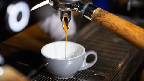Los cafés de especialidad se caracterizan por la ausencia de defectos y se definen por su trazabilidad