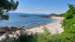 Una playa en Ons, uno de los ecosistemas que centran los trabajos de conservacin de la biodiversidad en el Parque Nacional