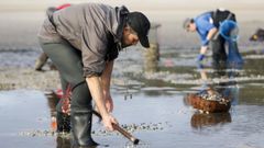 Mariscadoras en la playa de Vilarrube, en una fotograf�a de archivo