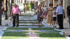 Barbanza luci vistosas alfombras florales