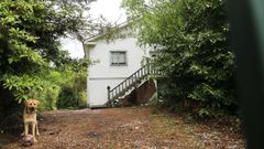 Hace medio a�o, unos okupas se establecieron en una vivienda en ruinas de Santa Mar�a Alta, en Lugo. 