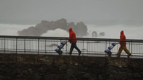 Trabajadores del Acuario corus en esta maana de temporal