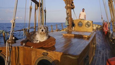 Basoli realiza salidas por la costa barcelonesa con el R�a de Ferrol para avistar cet�ceos