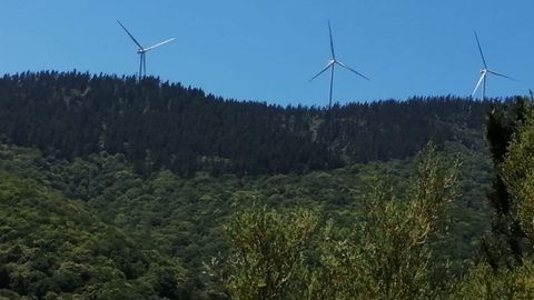 Vista parcial de la propiedad forestal de la comunidad de Vilaformn con las frondosas y la fraga de Cabanela en primer plano