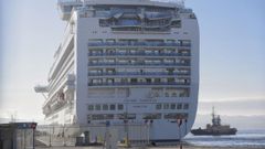 El Crown Princess, atracado este viernes en el muelle de Trasatl�nticos