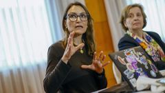 Carmen Montoto, directora m�dica en Espa�a de la farmac�utica japonesa Takeda, presenta en A Coru�a el primer Bar�metro sobre Trastornos del Sue�o en Espa�a.