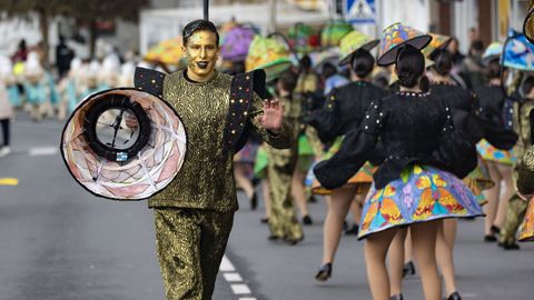 Comparsas en Camari�as