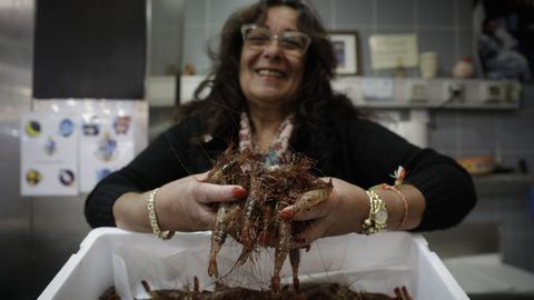 Marisco y pescado en la plaza de Lugo, en A Corua